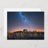 花 | Lupines Blooming Lake Tekapo New Zealand ポストカード (正面/裏面)