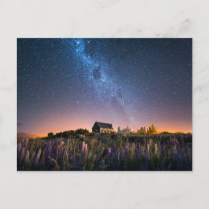 花 Lupines Blooming Lake Tekapo New Zealand ポストカード