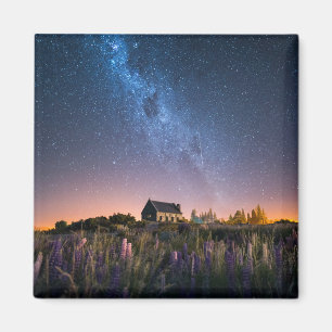 花   Lupines Blooming Lake Tekapo New Zealand マグネット