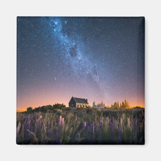 花 | Lupines Blooming Lake Tekapo New Zealand マグネット (正面)