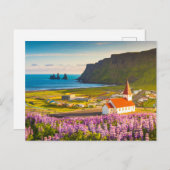 花 | Lupines in Southern Iceland開花 ポストカード (正面/裏面)