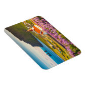 花 | Lupines in Southern Iceland開花 マグネット (右側)