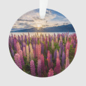 花 | Lupines New Zealand オーナメント (正面)