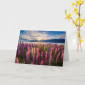 花 | Lupines New Zealand カード (黄色い花)
