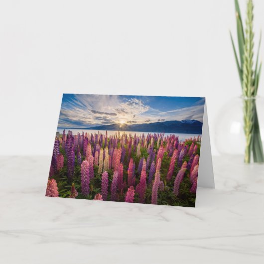 花 | Lupines New Zealand カード (正面)