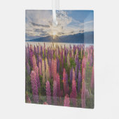 花 | Lupines New Zealand ガラスオーナメント (正面左)