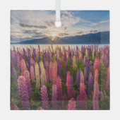 花 | Lupines New Zealand ガラスオーナメント (正面)
