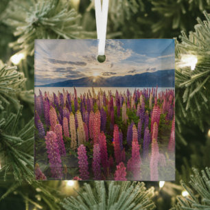 花 Lupines New Zealand ガラスオーナメント