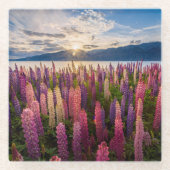 花 | Lupines New Zealand ガラスコースター (正面)