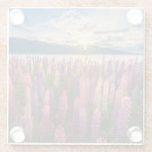 花 | Lupines New Zealand ガラスコースター (裏面)