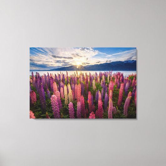 花 | Lupines New Zealand キャンバスプリント (正面)