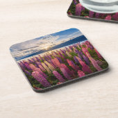 花 | Lupines New Zealand コースター (左側)