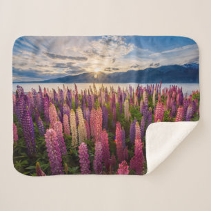 花 Lupines New Zealand シェルパブランケット