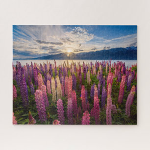 花 Lupines New Zealand ジグソーパズル