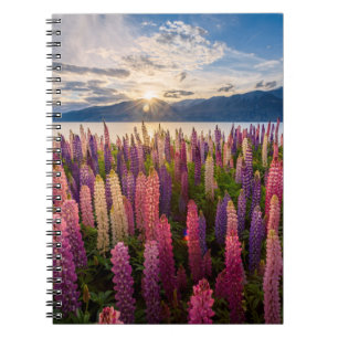 花 Lupines New Zealand ノートブック