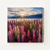 花 | Lupines New Zealand ノートブック (裏面)