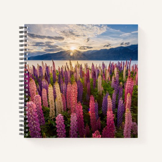 花 | Lupines New Zealand ノートブック (正面)