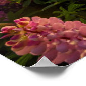 花 | Lupines New Zealand ポスター (角)