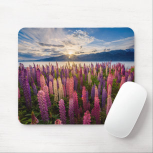 花 Lupines New Zealand マウスパッド