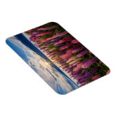 花 | Lupines New Zealand マグネット (右側)