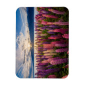 花 | Lupines New Zealand マグネット (縦)
