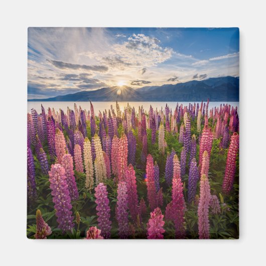 花 | Lupines New Zealand マグネット (正面)