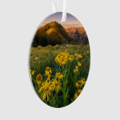 花 Mountain Meadow Crested Butte Colorado オーナメント (正面)