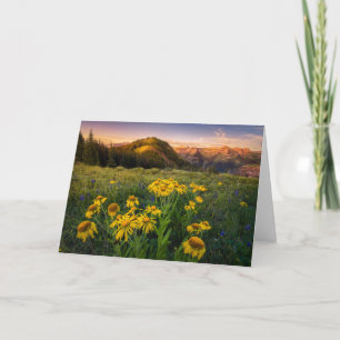 花 Mountain Meadow Crested Butte Colorado カード