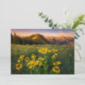 花 Mountain Meadow Crested Butte Colorado サンキューカード (スタンド正面)