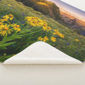 花 Mountain Meadow Crested Butte Colorado シェルパブランケット (3/4)