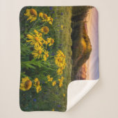 花 Mountain Meadow Crested Butte Colorado シェルパブランケット (正面)