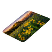 花 Mountain Meadow Crested Butte Colorado マグネット (左側)