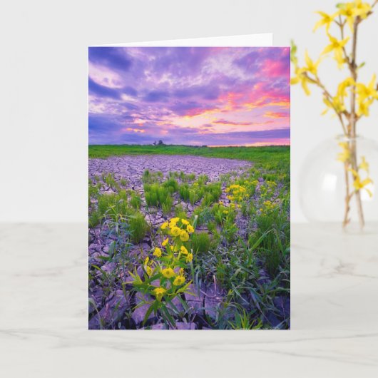 花 | North Dakota Red River Valley カード (黄色い花)