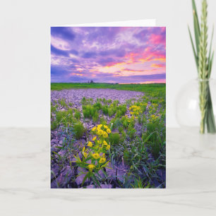 花 North Dakota Red River Valley カード