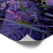 花 | North Dakota Red River Valley ポスター (角)