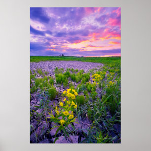 花 North Dakota Red River Valley ポスター