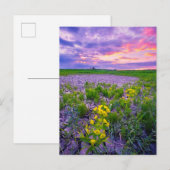 花 | North Dakota Red River Valley ポストカード (正面/裏面)