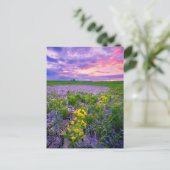 花 | North Dakota Red River Valley ポストカード (スタンド正面)