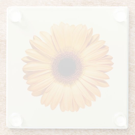 花 | Orange Gerbera ガラスコースター (裏面)