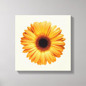 花 | Orange Gerbera キャンバスプリント (正面)