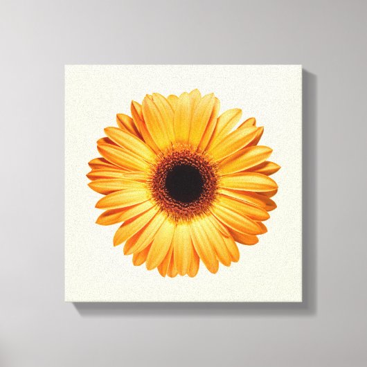 花 | Orange Gerbera キャンバスプリント (正面)