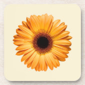 花 | Orange Gerbera コースター (正面)