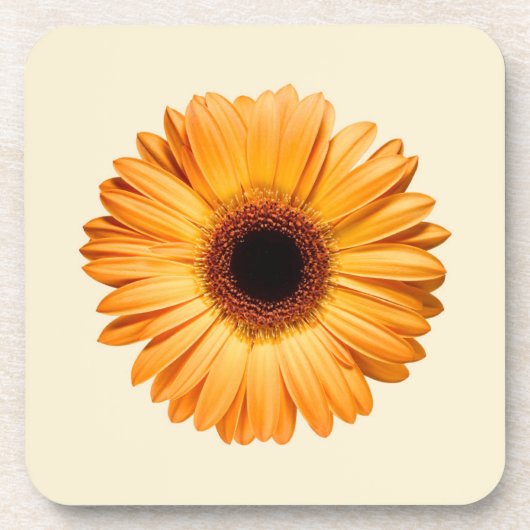 花 | Orange Gerbera コースター (正面)