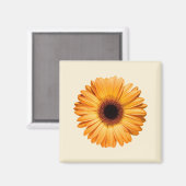 花 | Orange Gerbera マグネット (正面/裏面)