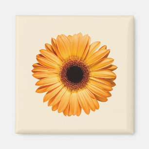 花 Orange Gerbera マグネット