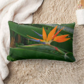 花(photog。)極楽鳥 腰神経の枕 ランバークッション (ブランケット)