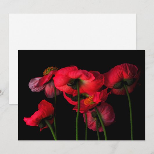 花 | Red Poppies サンキューカード (正面/裏面)