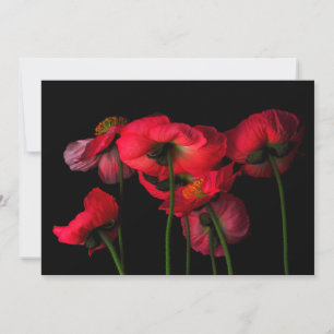 花 Red Poppies サンキューカード