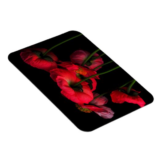 花 | Red Poppies マグネット (右側)