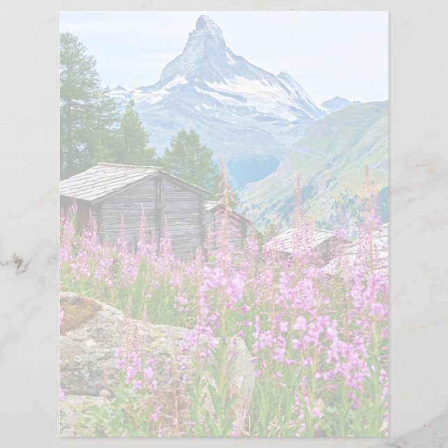 花 Summer Matterhorn Switzerland (正面)